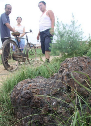 Buried "mountain" of Song Dynasty iron coins seen in field near Cangzhou