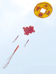 Chinese coin kite
