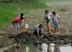 Villagers digging for buried coins