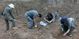Archaeologists Digging at Excavation Site
