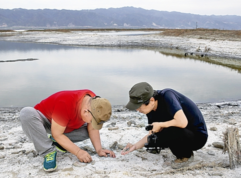 Two bird photographers at the Yuncheng salt lake discover more than 500 clay moulds used to cast iron coins during the Song Dynasty
