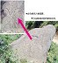 Chinese Rock Art of “Feather Man” or Alien thumbnail